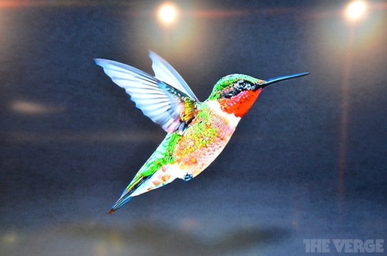 Hummingbird-theverge-1_560