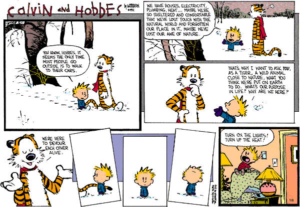 25 Great Calvin and Hobbes Strips - Progressive Boink