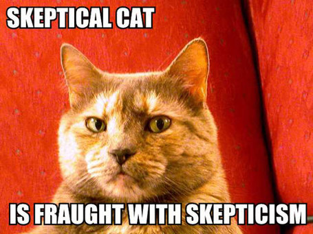 Skeptical-cat-is-fraught-with-skepticism_medium