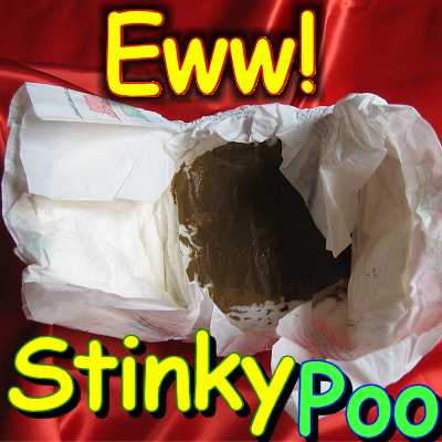 Dirty_diaper_gallery_stinky_poo_medium