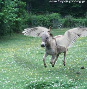 flying-donkey