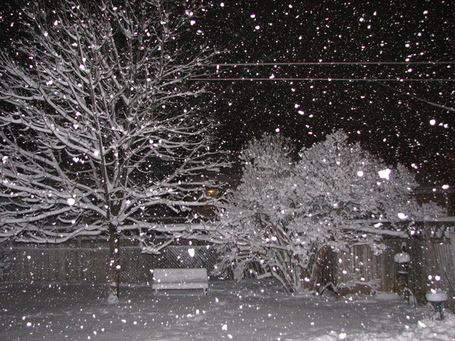 7_pm_still_snowing_medium