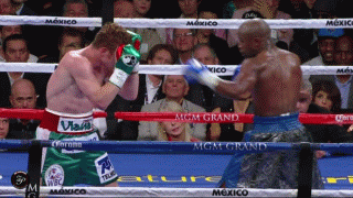 Mayweather vs Canelo highlights, results and gifs: Mayweather takes