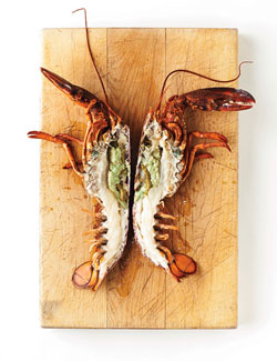 Split-lobster-3_medium