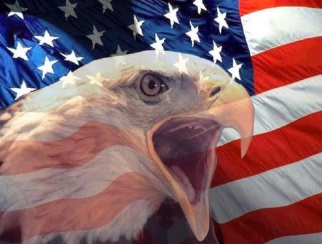 American-flag-bald-eagle-45435_medium