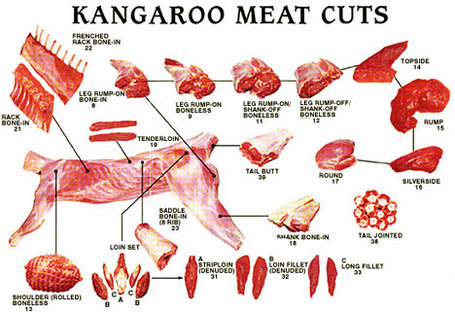 Kangaroo-meat_medium