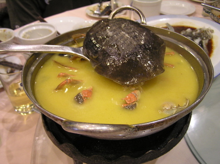 27-turtle_soup_medium