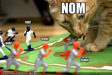 Funny-pictures-cat-eats-baseball-players_medium