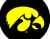 Iowa_hawkeyes_logo_medium