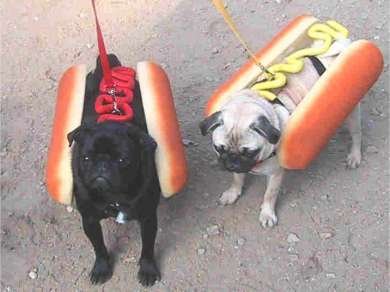 Hot_dogs_medium