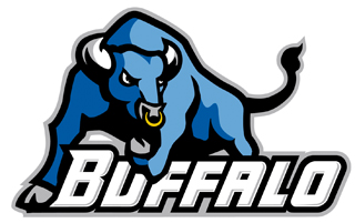 Buffalo_medium