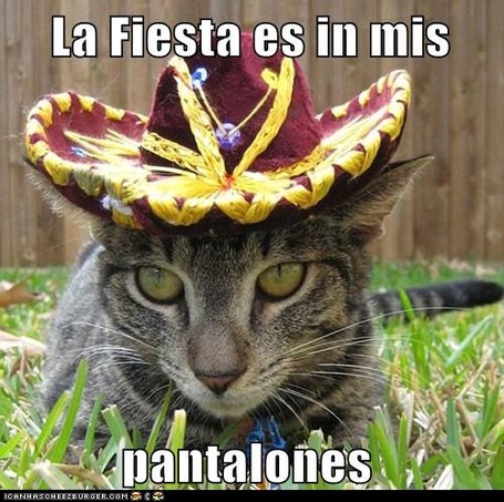 Funny-pictures-la-fiesta-es-in-mis-pantalones_medium