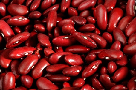 Kidney-beans_medium
